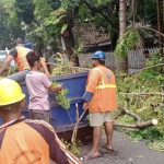 Screen Shot 2023-12-09 at 17.09.14