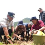 WhatsApp Image 2024-03-01 at 11.03.36