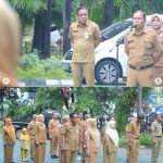 Screenshotsekwanapel