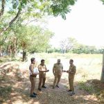 IMG-20250811-WA0017_11zon