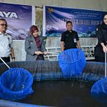 49b23972-b3a4-40b3-a264-a1f8a871e3e5