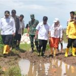 7875012e-4021-4e47-95bb-a4b337921fae