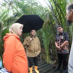 8c4f545d-a2fe-4cd9-8cbb-4c59b975fd70